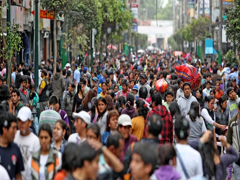 Radiografía del elector peruano: ¿Cómo y por qué decide su voto?