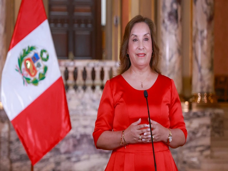Congresistas presentan cuatro proyectos de ley para dejar sin efecto incremento de sueldo de Dina Boluarte