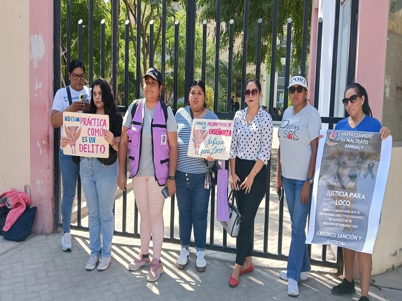 Fiscalía investiga presunto sacrificio de perros sanos para experimentos en la Universidad Nacional de Piura